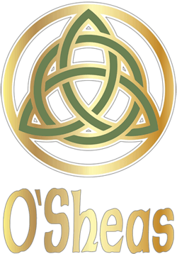 O'Sheas Irish Pub Manchester